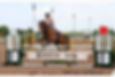starting gate photo.jpg