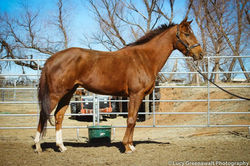 My Sis Kris under eval.jpg