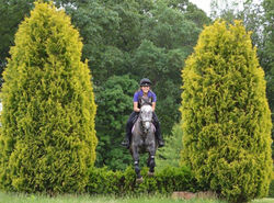 18620919_1465954840127321_7378525136974140611_o