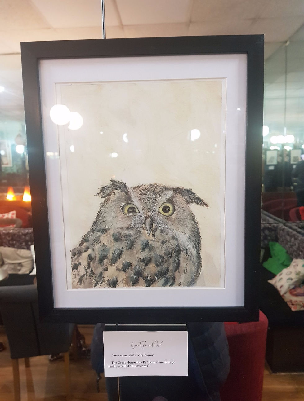 Cafe artwork displays