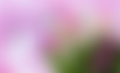 С праздником, милые женщины!