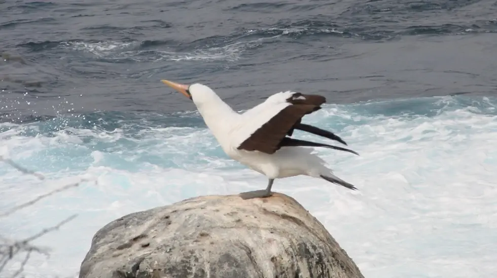 Finding Intent: It’s That Time Again