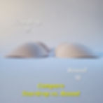 Thumbnail: busted tank round shape best single mastectomy breast form single breast prosthetic swim breast form