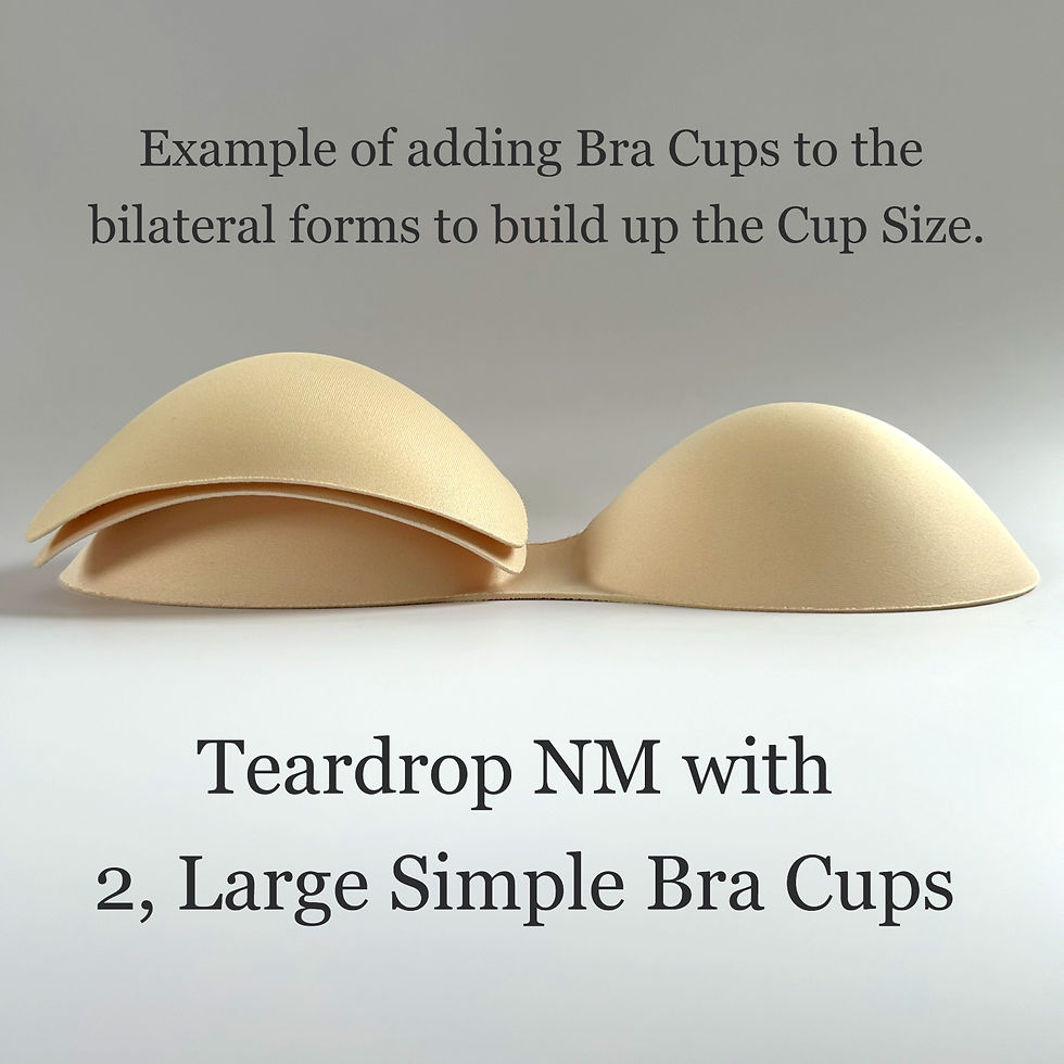 Thumbnail: the busted tank pair of simple bra cup inserts for bras swimsuits and swimwear shown with other breast forms