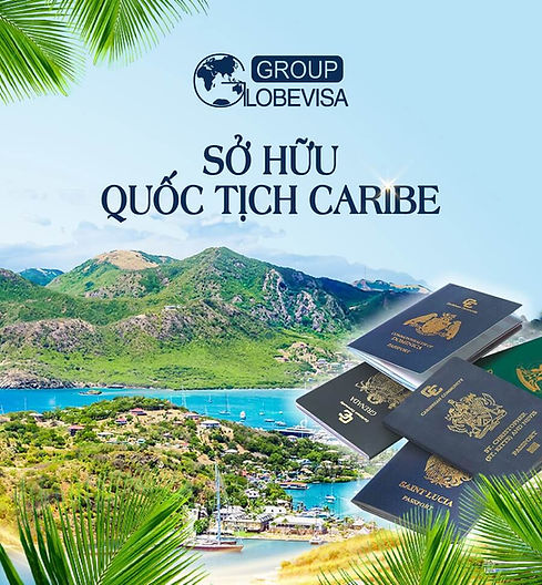 caribbean-banner-02.jpg