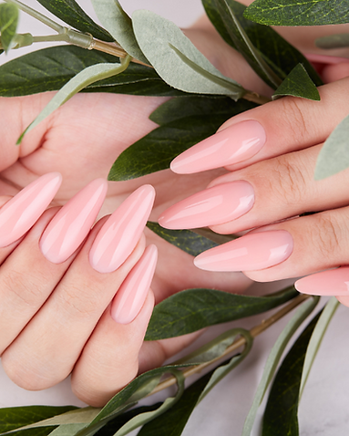 Untitled design (41).png