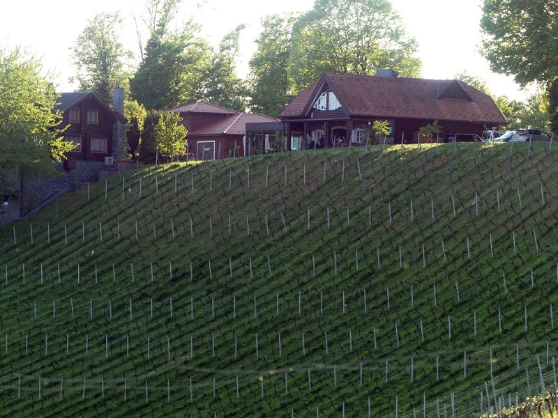 Zagorski bregi na vinskoj karti: destinacija koju više ne možete ignorirati