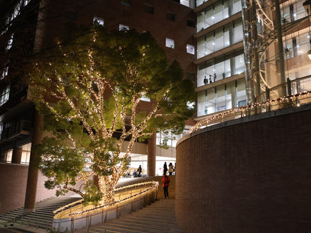 イルミネーション点灯式が開催されました