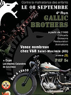 Gallic brothers.jpg