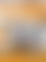 Charuteiras do Recôncavo - História e Ensino