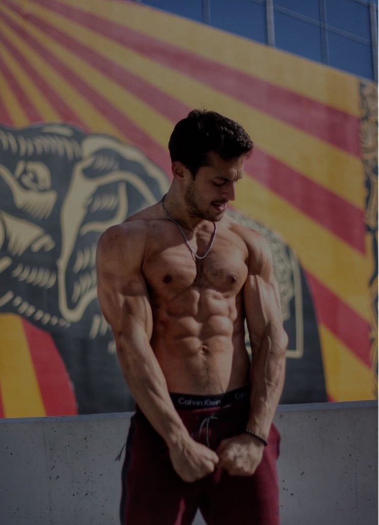 Calisthenics workout plan