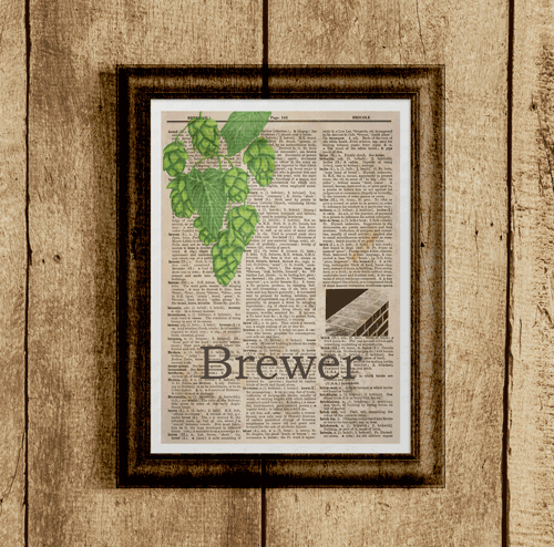 Brewer