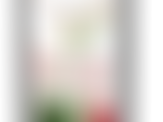 Raha ya Dodo Lisiwe Dogo - MASHAIRI YA MAPENZI