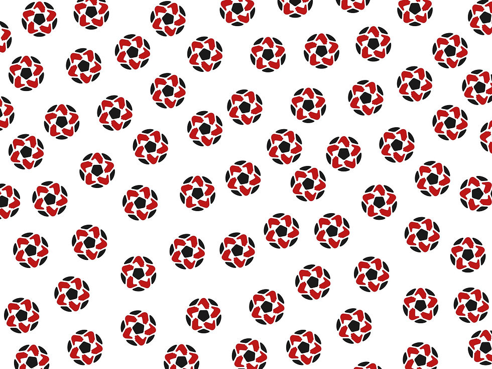 Untitled design-4_edited.jpg