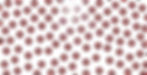 Untitled design-3_edited.jpg