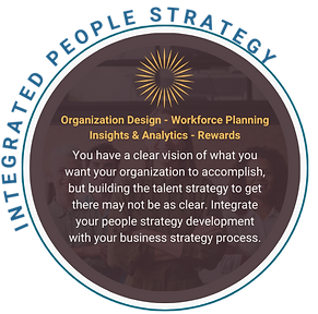 FINAL DP Website Service Icons - Integrated People Strategy (2).png
