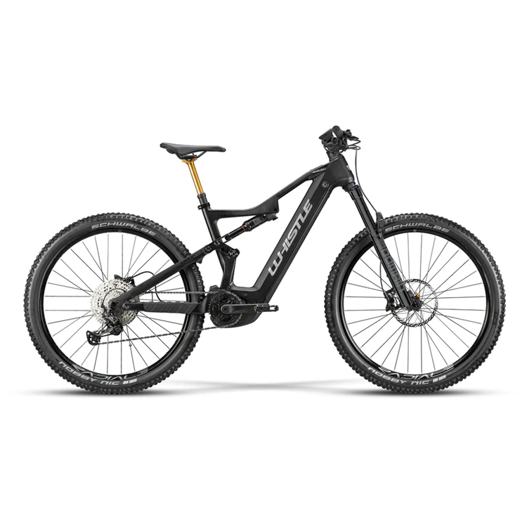 EBIKE WHISTLE B RUSCH 2 750W.webp