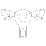 utero.png