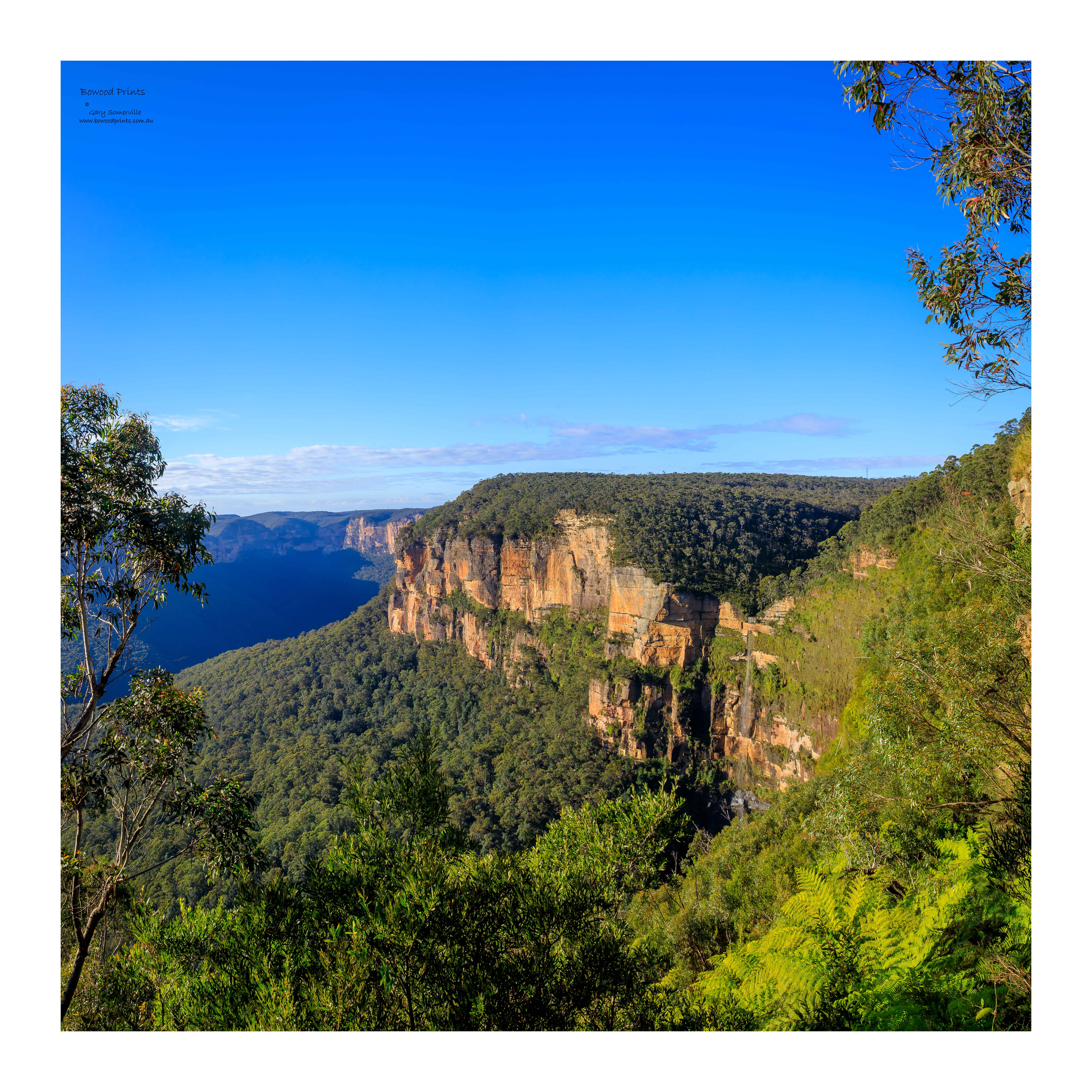 191A9155 Govetts Leap, NSW Blue Mountains