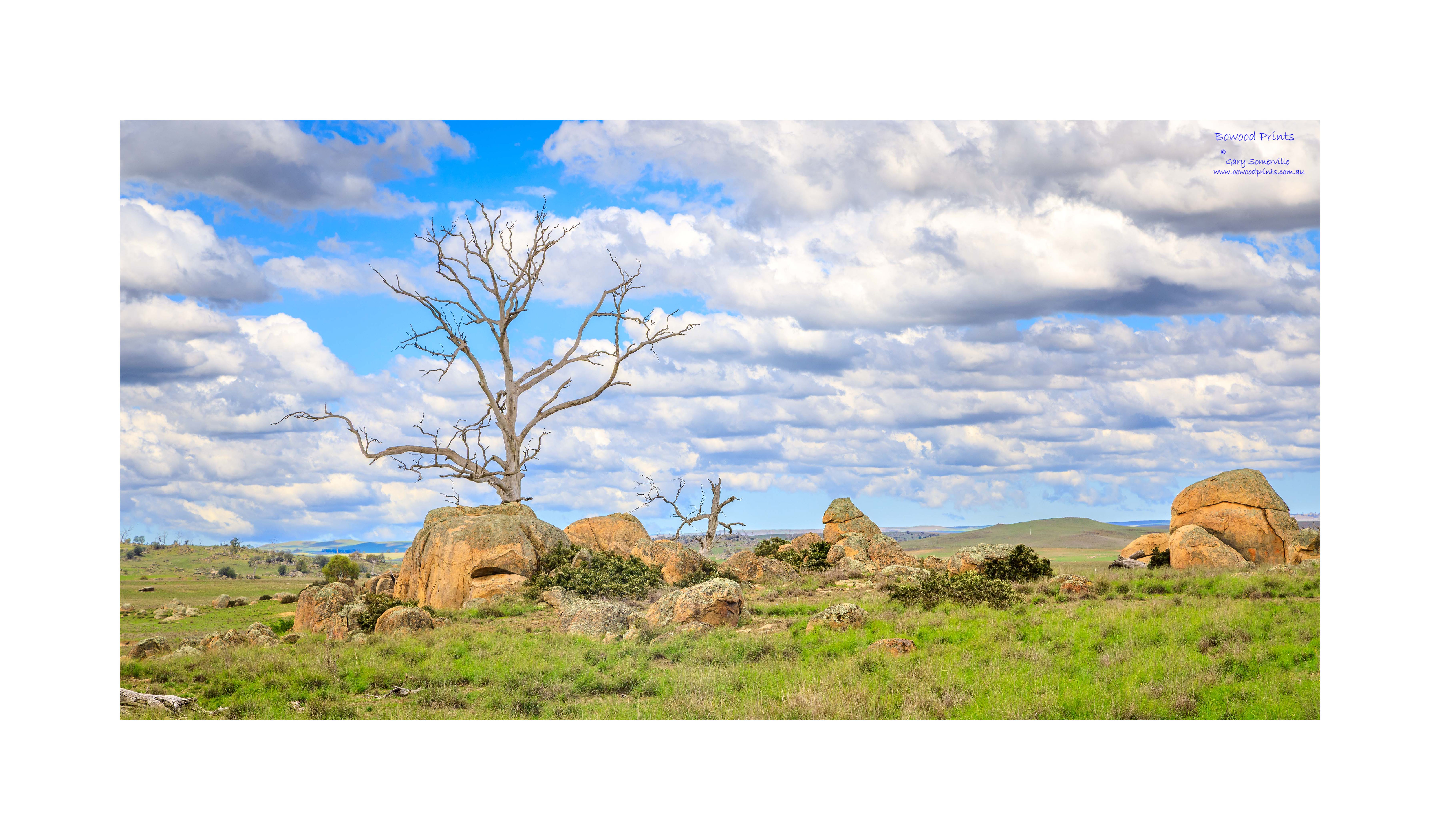 191A8933 Berridale,, NSW