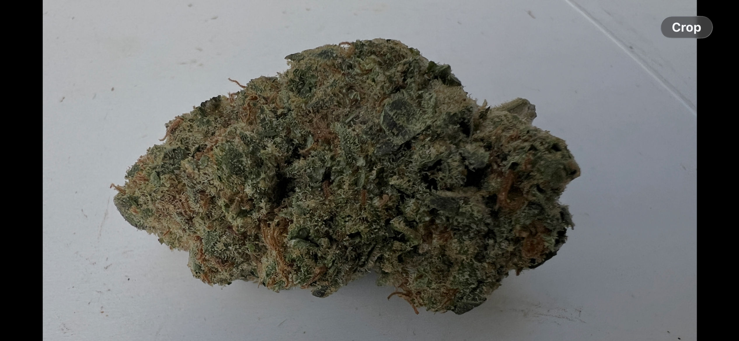 50 cal. OG