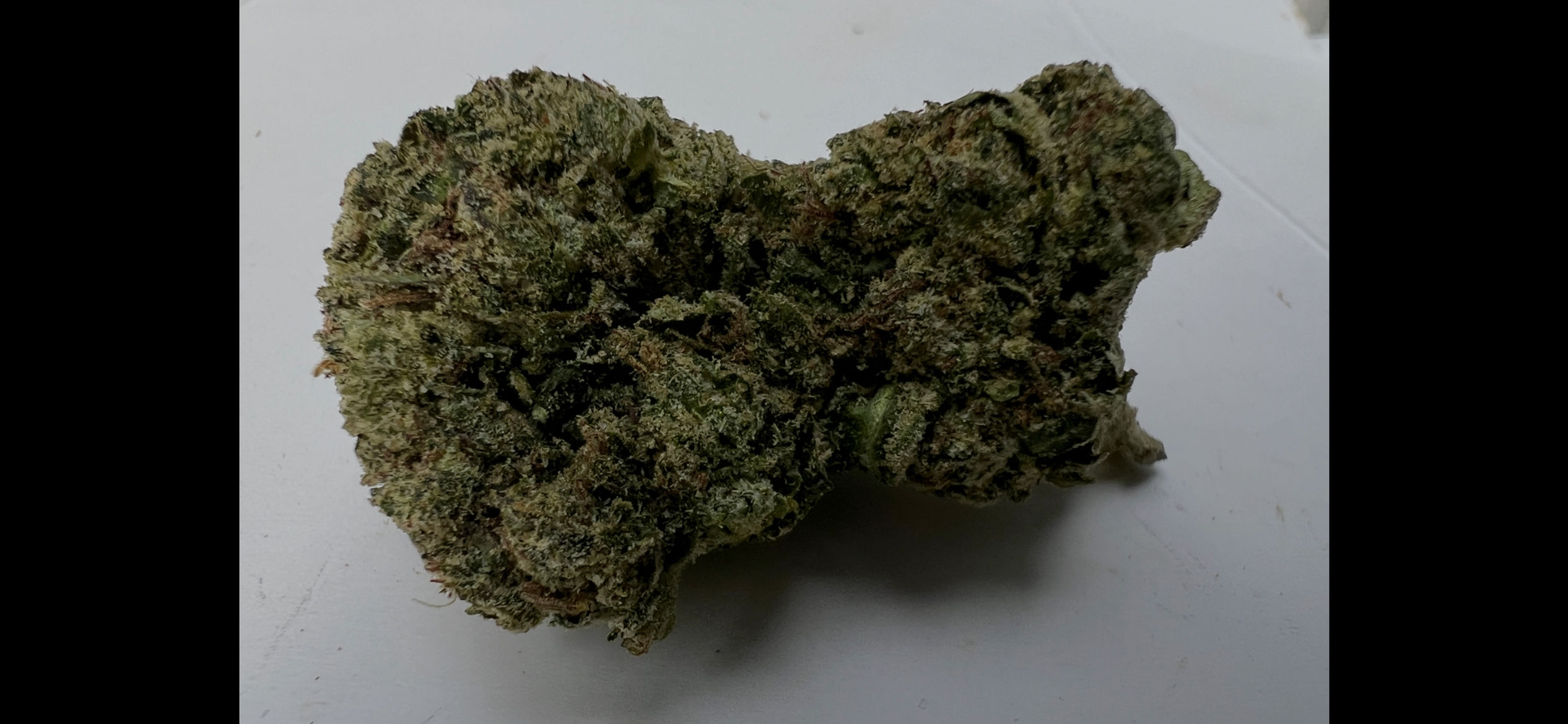 NY Sour D