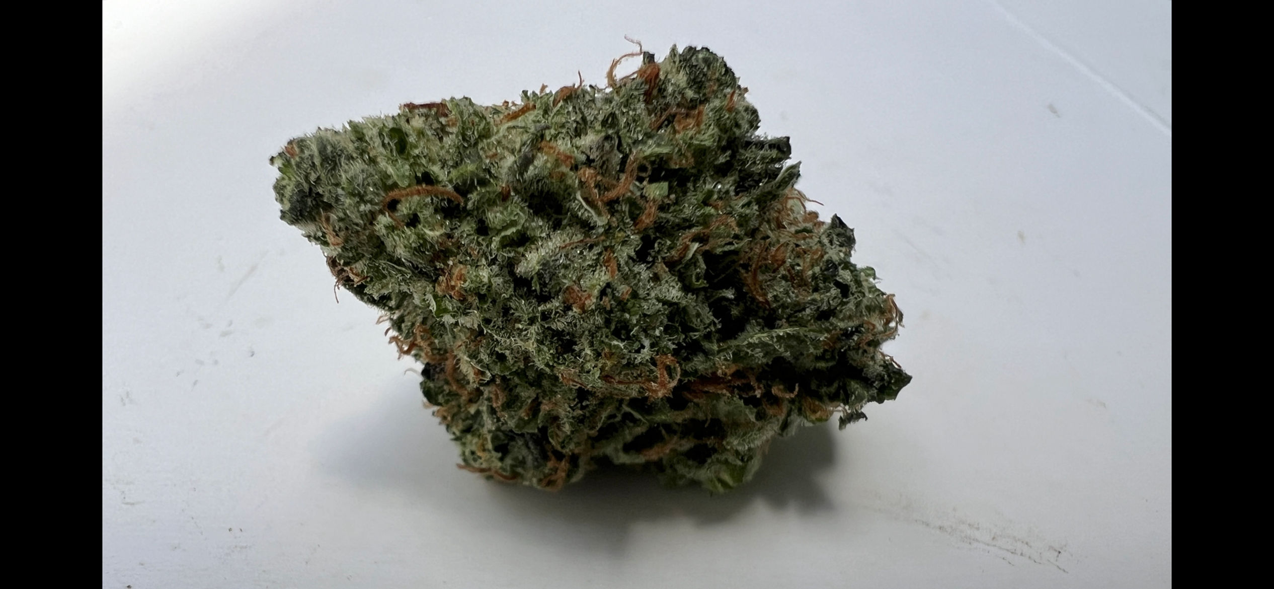 Legend OG 