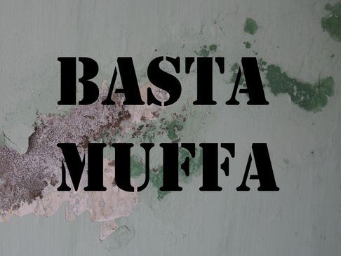 Muffa Sulle Pareti? Ecco come eliminarla e prevenirla!