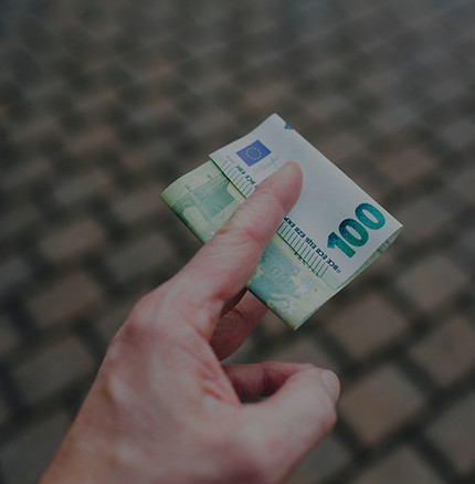 I pay 100 € EURO_edited_edited.jpg