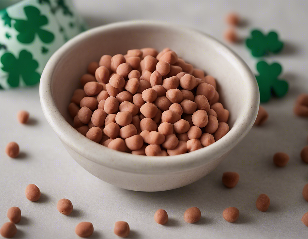 Top Tips for AKC Irish Setter Puppy Nutrition