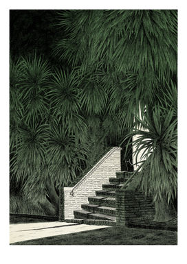 Chat noir dans les feuillages - Nathaniel H'limi