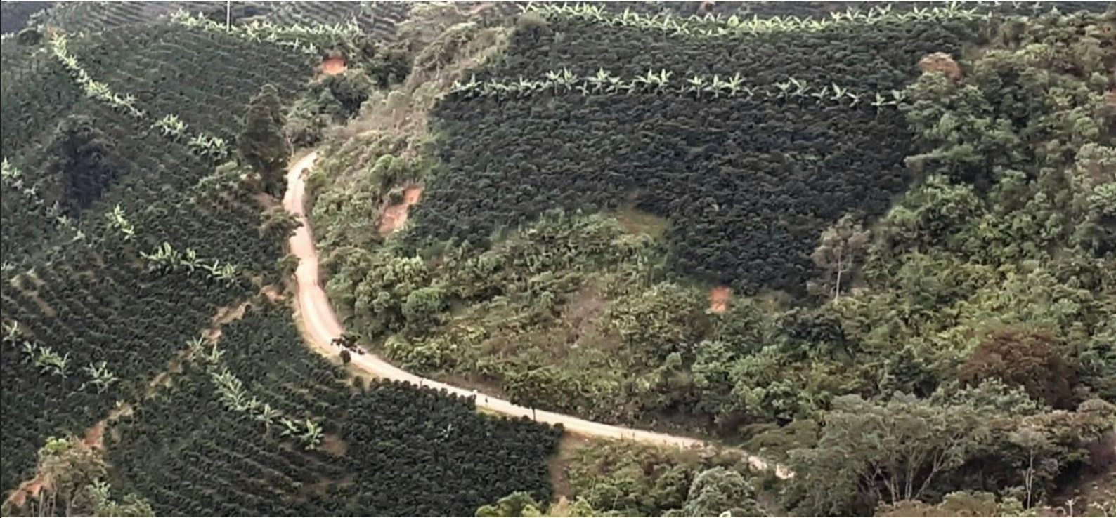 Colombie - Huila - Palermo - San Pedro - Grade 1 - Nature - by Sail