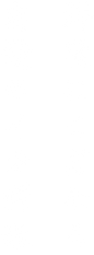 鮮度にこだわる自慢のイカ料理