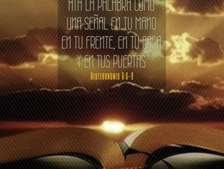 DÍA 7