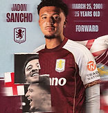 Aston Villa player image