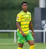 Aston Villa player image