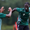 Midfielder