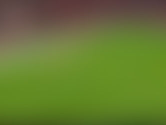 Enzo 🇦🇷 scores a belter