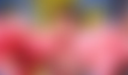 Aston Villa Women have signed Maya Hijikata