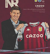 Image of Aston Villa manager