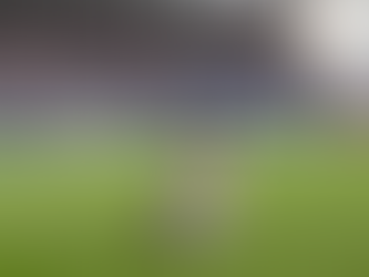 Lewis Dobbin 🏴 makes a goalscoring debut for Preston North End 🏴 in their EFL Cup defeat at home to Wrexham before making his Championship debut as a 67th minute substitute in the 0-1 defeat to Portsmouth. 🕒 2 | ✅ 1 | 🔁 1 | ⚽ 1 | 🔥 0 | 🇺 1 |