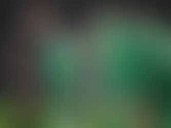 The First Team beaten by Brentford, the u18s beaten on penalties, the women beaten away and now the u21s are vanquished at home. Possibly the worst week of the season thankfully concludes.