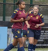 Aston Villa player image