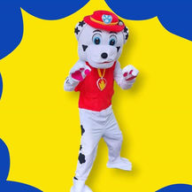 Cartoon dog costume