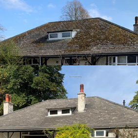 Before and after roof cleaning
