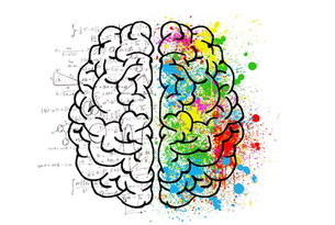 Princeton Study Reveals Why Brains Adapt Better than AI