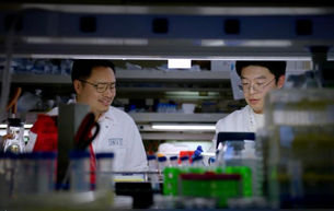 Artificial biosensor enables more precise detection of the body’s primary stress hormone