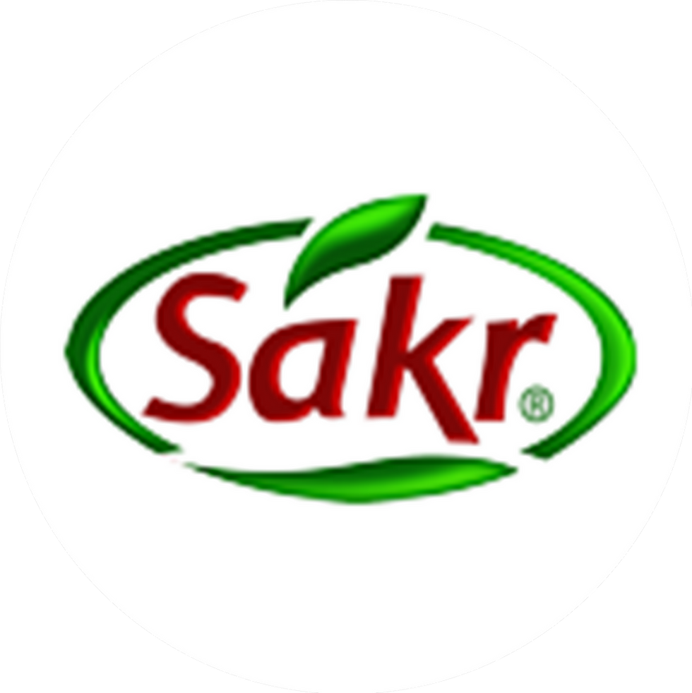 Mısır-Sakr Group