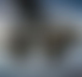 Imagem de um grupo de paraquedistas militares em queda livre, descendo de um avião militar com portas abertas e hélices girando. Os paraquedistas estão equipados com uniformes camuflados, capacetes, óculos de proteção e paraquedas abertos, deixando um rastro de fumaça branca. O cenário mostra uma paisagem montanhosa abaixo, sob um céu claro, destacando a altitude da operação