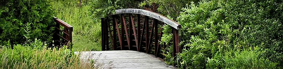 Auroa_edited.jpg